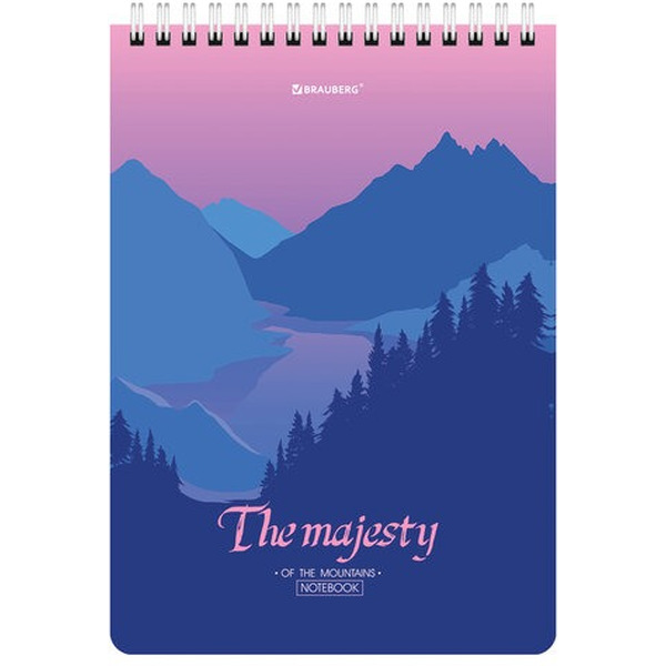 Блокнот BRAUBERG 114373 (4 шт)