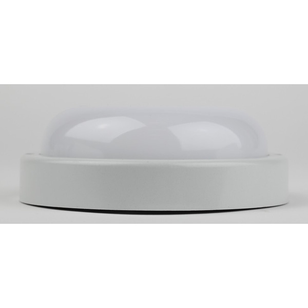 Светильник ЖКХ ЭРА SPB-201-0-65K-012