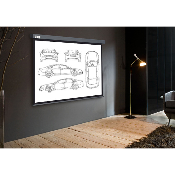 Экран Cactus CS-PSW-168X299-SG