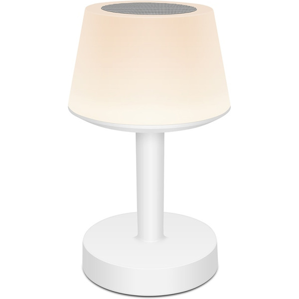 Беспроводная колонка Evolution LV2019