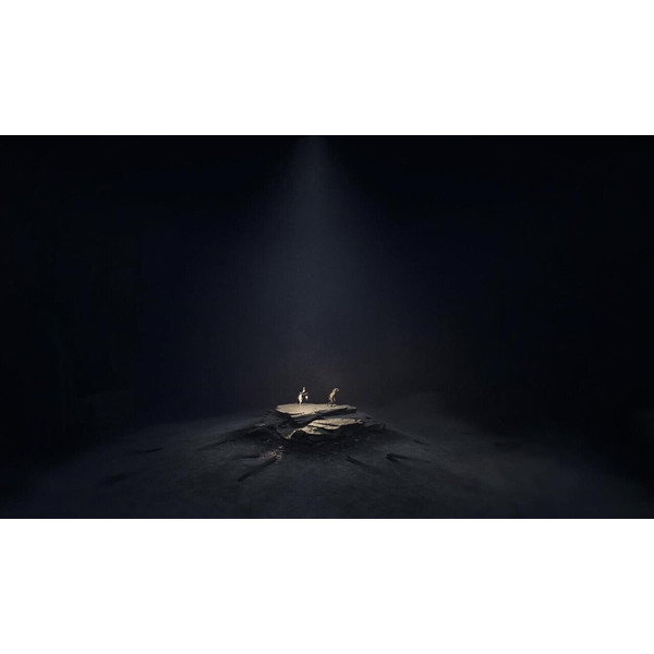 Игра Reanimal для PlayStation 5