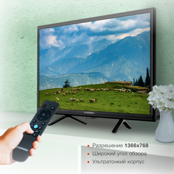 Телевизор StarWind SW-LED24SG304