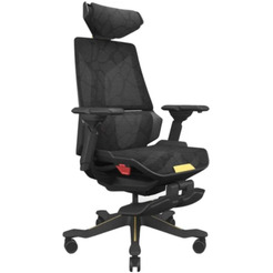 Игровое кресло ErgoSmart Bloodragon (черный/золотистый)