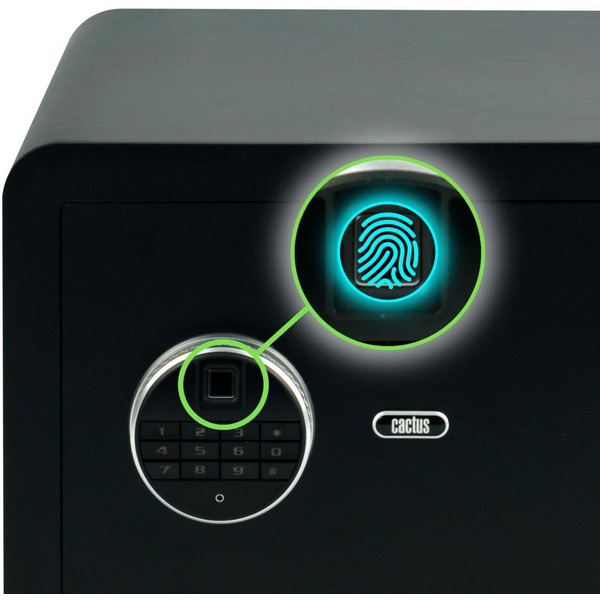 Сейф мебельный Cactus CS-SF-F30