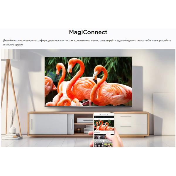 Телевизор TCL 43P615