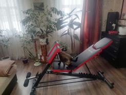 Скамья спортивная AMETIST Strong