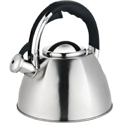 Чайник со свистком ASTIAT AST-1029