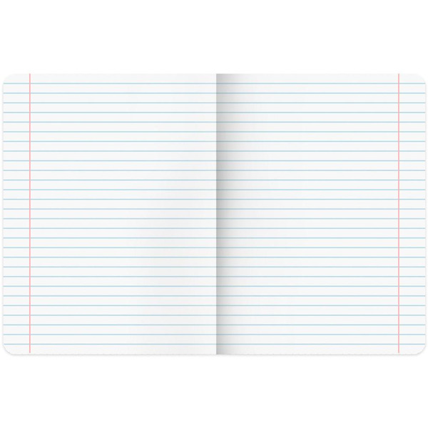 Тетради предметные BRAUBERG 404326 (КОМПЛЕКТ 12 ПРЕДМЕТОВ, 48л, SoftTouch, фольга)