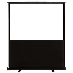 Экран Cactus FloorCompactExpert CS-PSFLCE-160X120