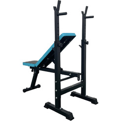 Силовая скамья Calviano 1008