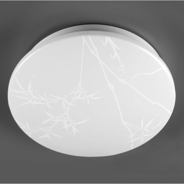 Светильник General Lighting Reed GSMCL-019-24 800258