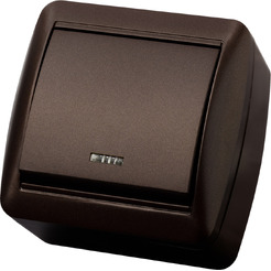 Выключатель TDM Селигер SQ1818-0203