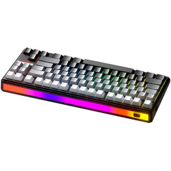 Клавиатура FURYCUBE AE75 PRO (Panda Silent, градиент/серый)
