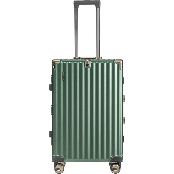 Чемодан DoubleW E087# (M, темно-зеленый)