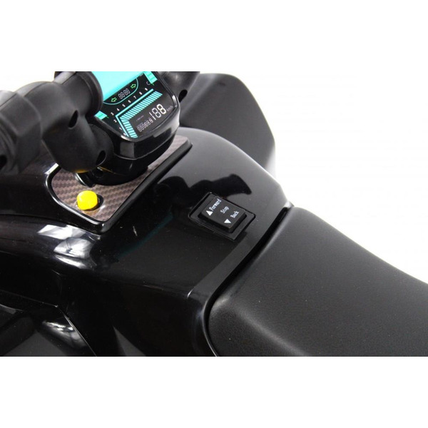 Детский электроквадроцикл RiverToys H001HH (Черный)