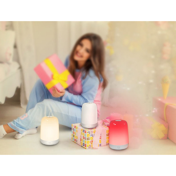 Ночник Evolution A100