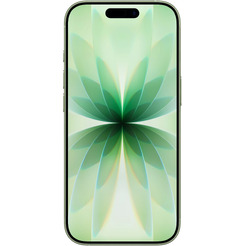 Смартфон Apple iPhone 17 256GB Sage (MG714CH/A)