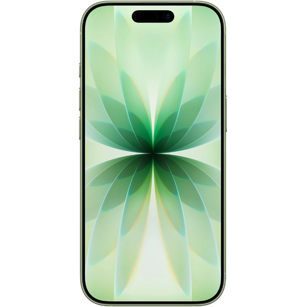 Смартфон Apple iPhone 17 256GB Sage (MG714CH/A)