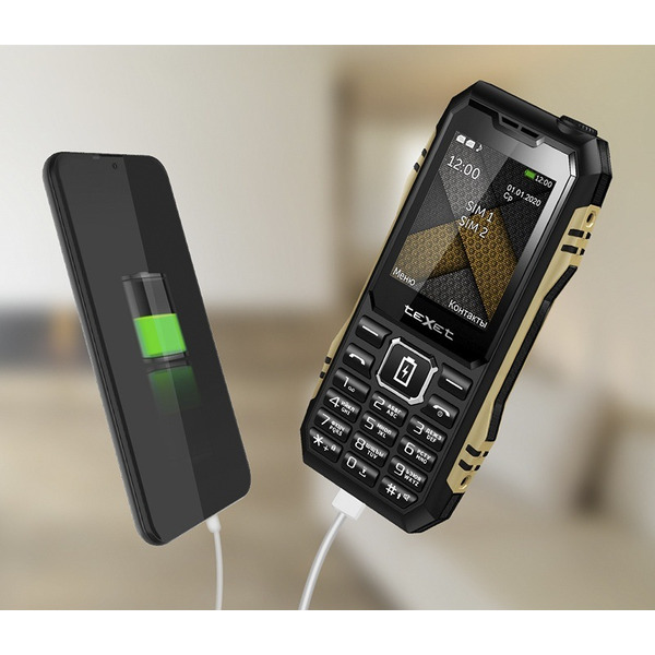 Мобильный телефон TeXet TM-D428 (черный)