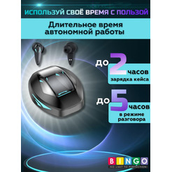 Наушники Bingo TG09 (черный)