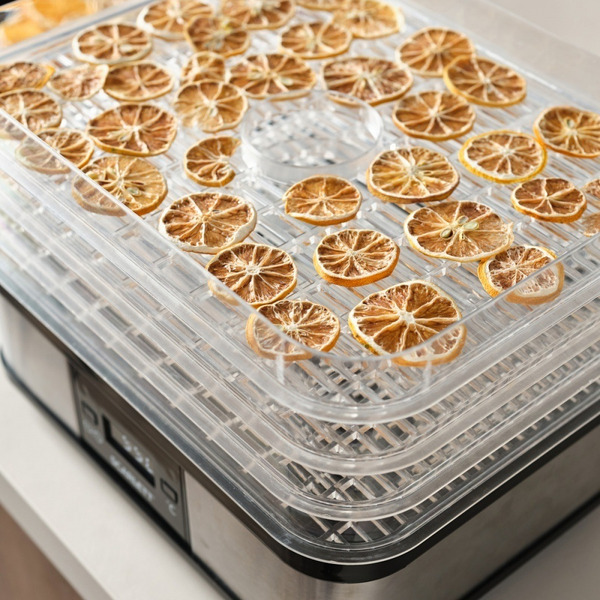 Сушилка для овощей и фруктов Scarlett SC-FD421T19