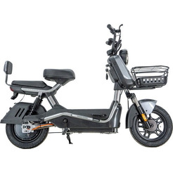 Электроскутер ZeuS Aurora (серебристый)