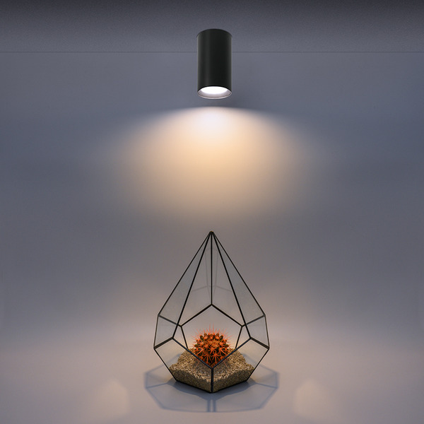 Накладной светильник WOLTA WSL-GU10/01BL