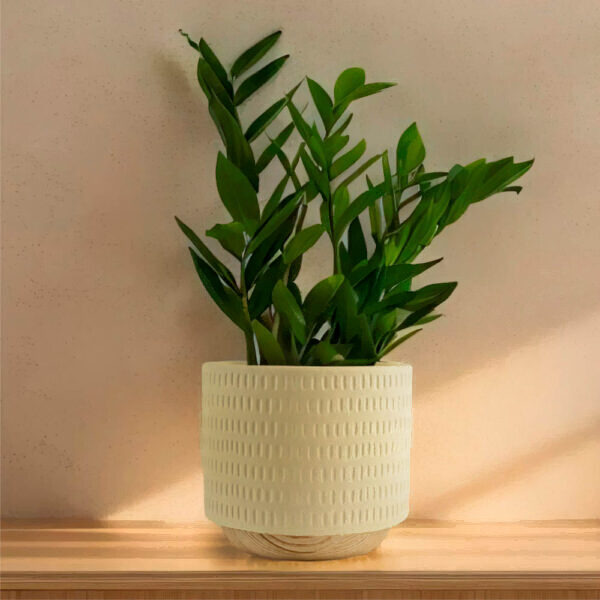 Кашпо Mandarin Decor Често P18C23104B-12milk (молочный)