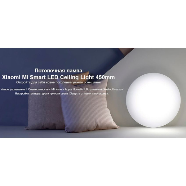 Светильник Xiaomi Mi Smart LED Ceiling Light BHR4118GL (MJXDD01SYL)