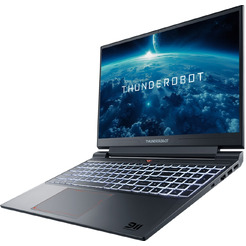 Игровой ноутбук Thunderobot 911X Wild Hunter G3 Evo (JT009R00KRU)