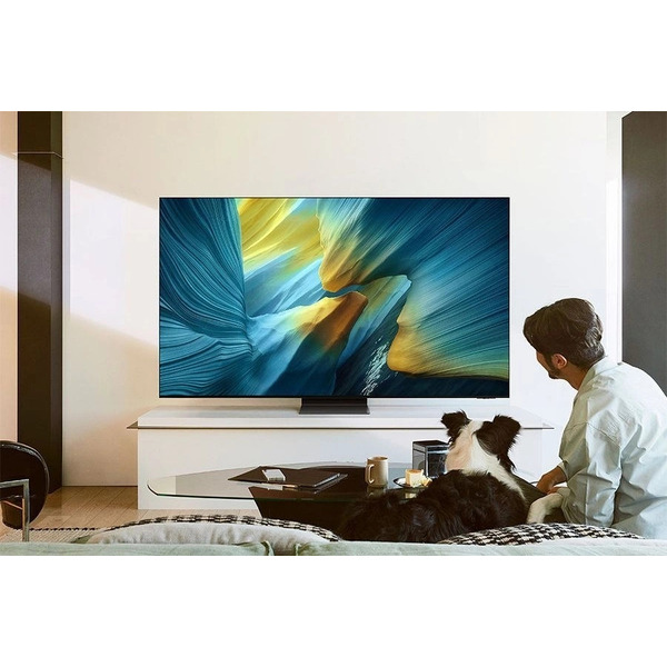 Телевизор Samsung QE77S95FAUXRU