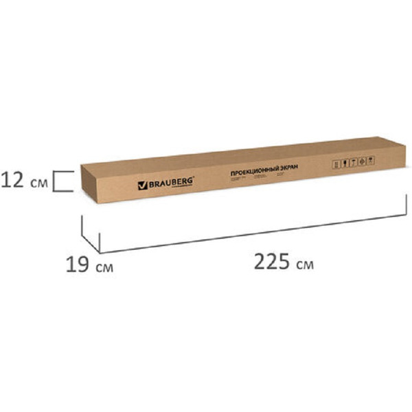 Экран проекционный на треноге BRAUBERG TRIPOD (200х200см), матовый