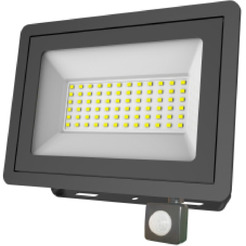 Уличный прожектор ЭРА LPR-042-2-65K-050