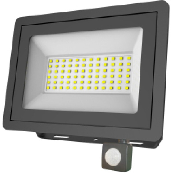 Уличный прожектор ЭРА LPR-042-2-65K-050