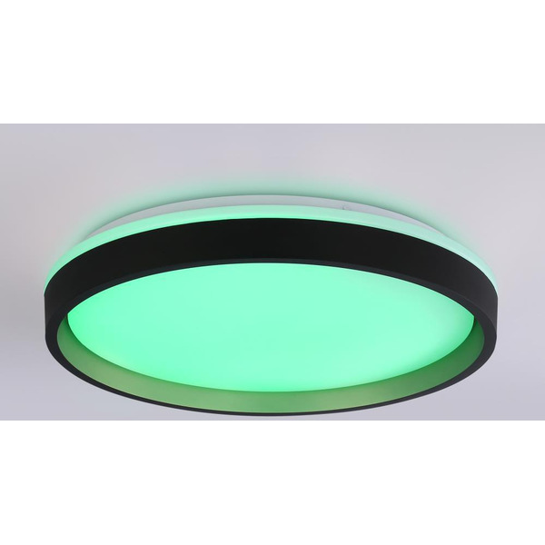 Потолочный светодиодный светильник Ambrella Orbital FZ610 BK/GD (черный/золото)