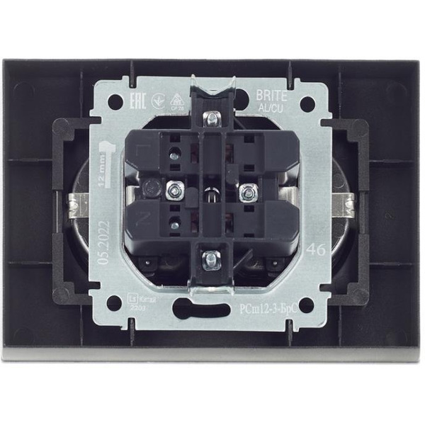 Розетка IEK Brite BR-R21-16-K46-F