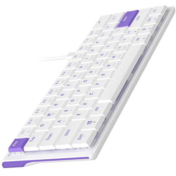 Клавиатура AJAZZ NKL61 Low Profile Switch (белый/фиолетовый)