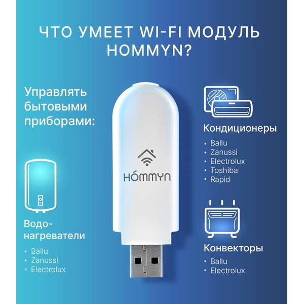 Модуль съемный управляющий HOMMYN HDN/WFN-02-01
