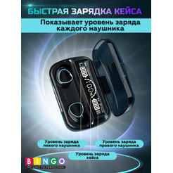 Наушники Bingo M10 (черный)