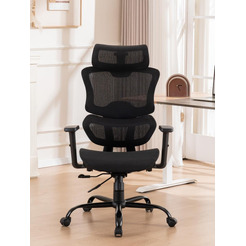 Кресло компьютерное EVOLUTION ZenMesh