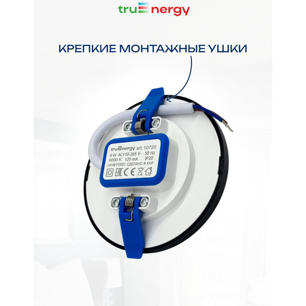 Светильник светодиодный TRUENERGY 10725
