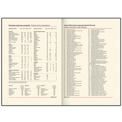 Ежедневник BRAUBERG недатированный Flame 113429 (черный)