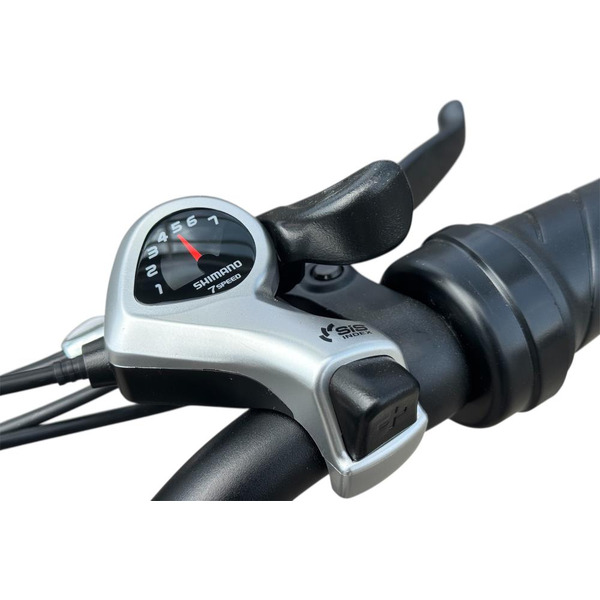 Электровелосипед Smart Balance Panda 20" (серый)