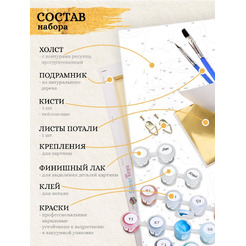 Картина по номерам Флюид Девушка индеец 40x50 HR0600