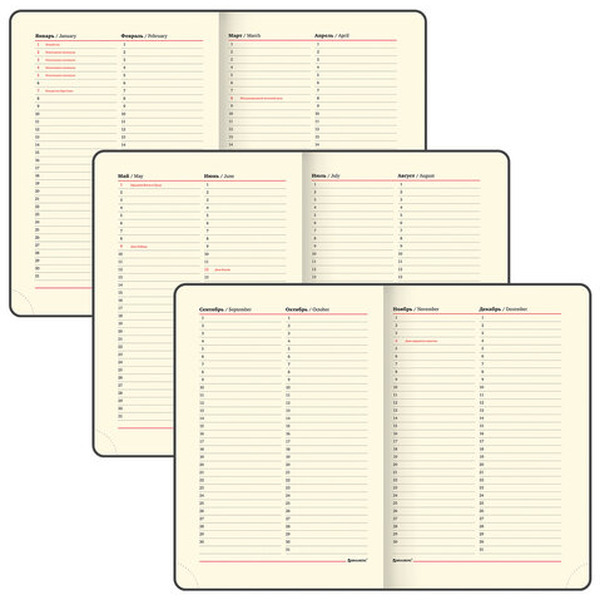 Ежедневник недатированный BRAUBERG Status 113364