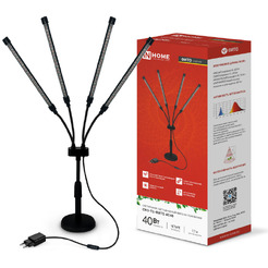 Светильник настольный на основании светодиодный IN HOME СНО-Т2-ФИТО 4С40 красно-синий (4690612053561)