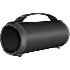 Беспроводная колонка Digma D-PS1520 (черный)