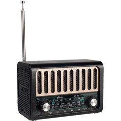 Радиоприемник Ritmix RPR-020