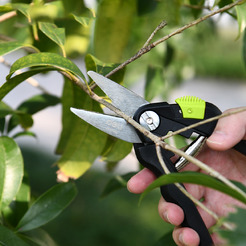 Секатор Deli EDL580101