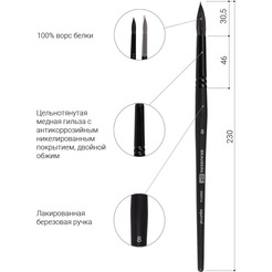 Кисть художественная профессиональная BRAUBERG Art Classic Белка 8 200914 (круглая)